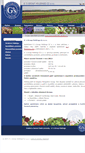 Mobile Screenshot of gs-marketing.cz
